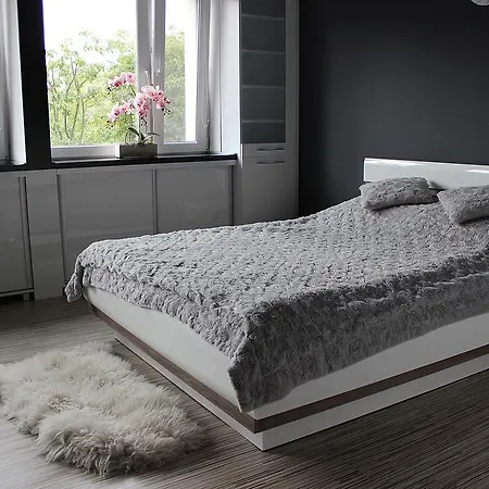 Black & White Komfortowe 2 Km Od Centrum *