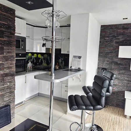 アパート Black & White Komfortowe 2 Km Od Centrum Racibórz