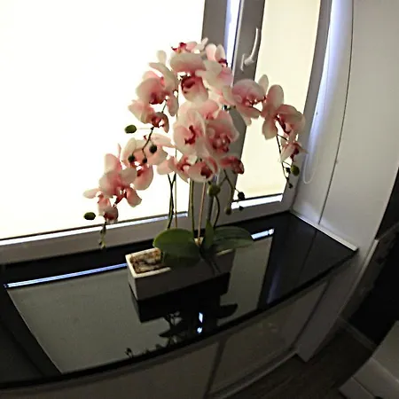 Apartment Black & White Komfortowe 2 Km Od Centrum Raciborz