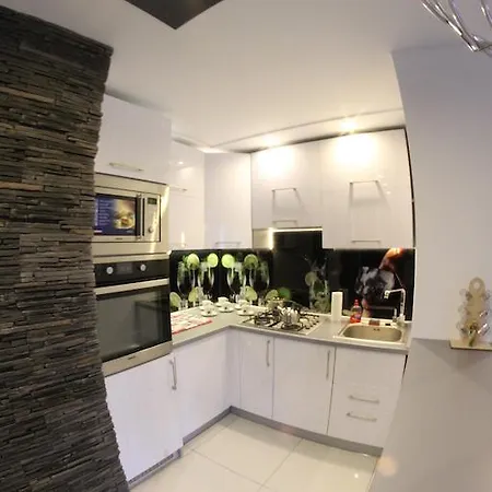 Appartement Black & White Komfortowe 2 Km Od Centrum Racibórz