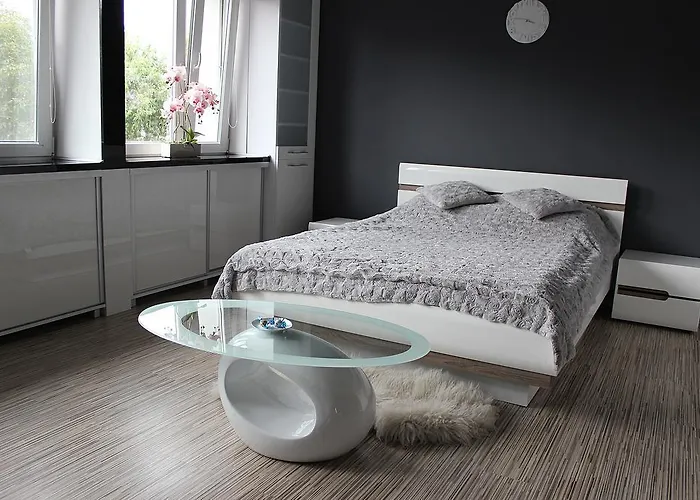 Black & White Komfortowe 2 Km Od Centrum