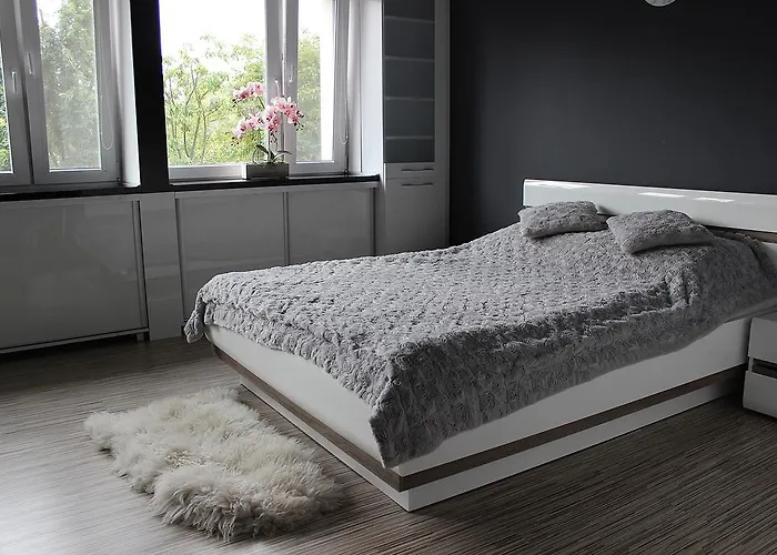 Black & White Komfortowe 2 Km Od Centrum *