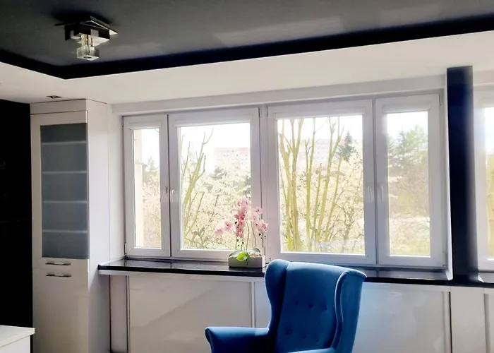 Black & White Komfortowe 2 Km Od Centrum Apartment