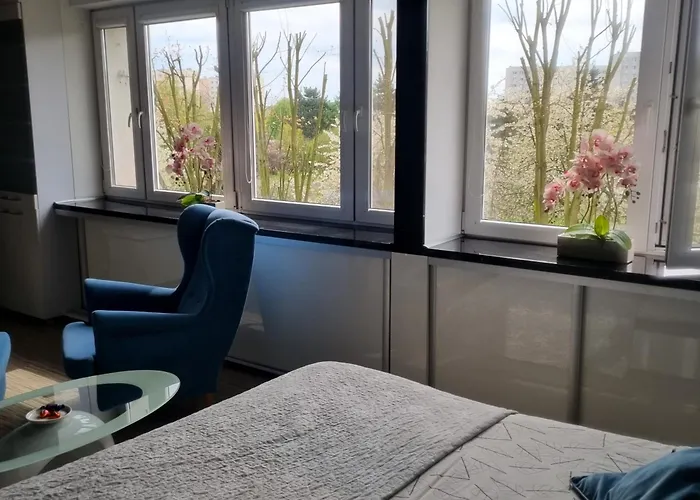 Black & White Komfortowe 2 Km Od Centrum *