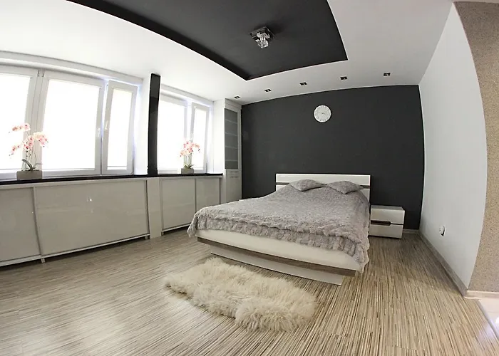 Black & White Komfortowe 2 Km Od Centrum راتشيبوش