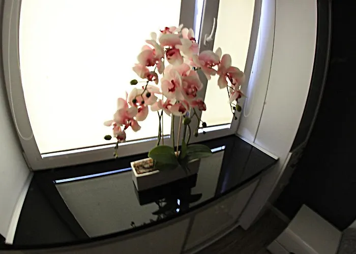 Apartment Black & White Komfortowe 2 Km Od Centrum Raciborz