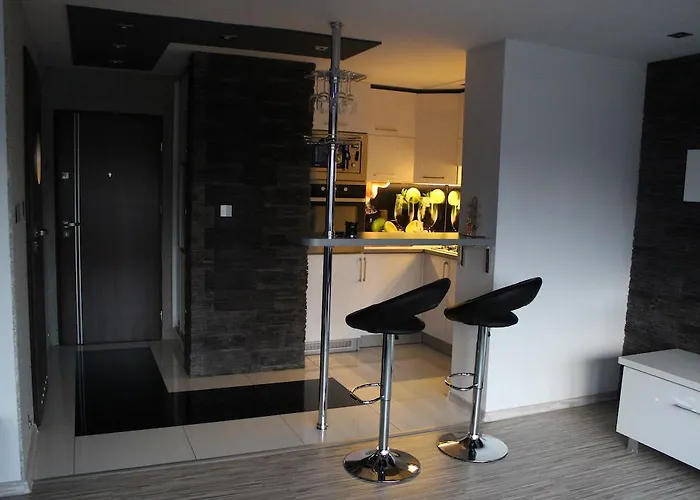 Black & White Komfortowe 2 Km Od Centrum