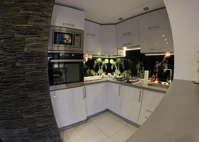 Black & White Komfortowe 2 Km Od Centrum